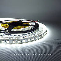 Світлодіодна стрічка MTK-600W3528-IP20-12V 12В 120LED/m SMD2835 IP20 9,6 Вт/м 7000К-8000К холодне світло