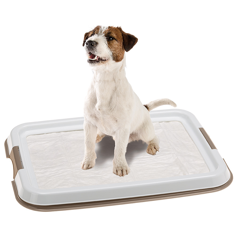 Лоток для гігієнічних пелюшок для собак Ferplast Hygienic Pad Tray Small
