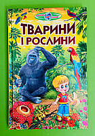 Тварини і рослини. Пізнаємо світ разом. Белкар книга