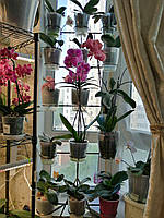 "Форт" підставка для квітів на 15 кілець