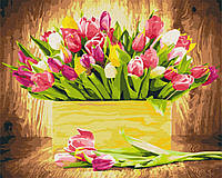 Картины по номерам -Святкові тюльпани BS5666