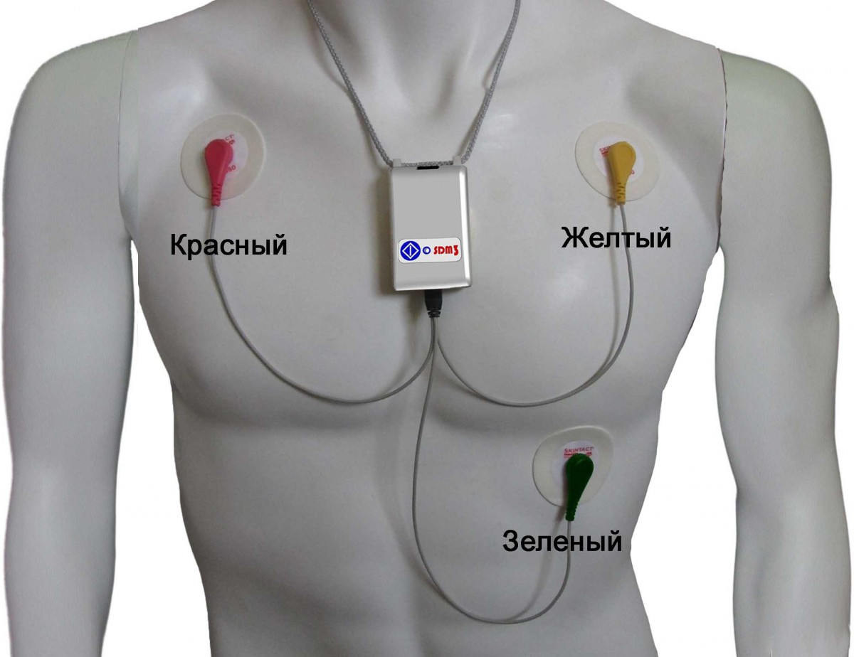 Добовий монітор електрокардіосигналів SDM3 (Холтер ЕКГ)