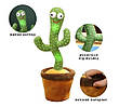 Танцюючий кактус USB повторює мовлення пісні з підсвіткою Dancing Cactus 32 см, фото 4