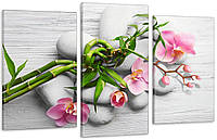 Модульная картина в гостиную / спальню Бамбук з орхідеєю Art-580_3
