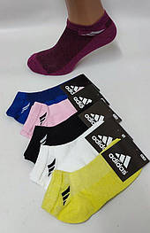 Шкарпетки жіночі Sport 0101s () короткі сітка різні кольори р.35-40 (уп.12 пар)
