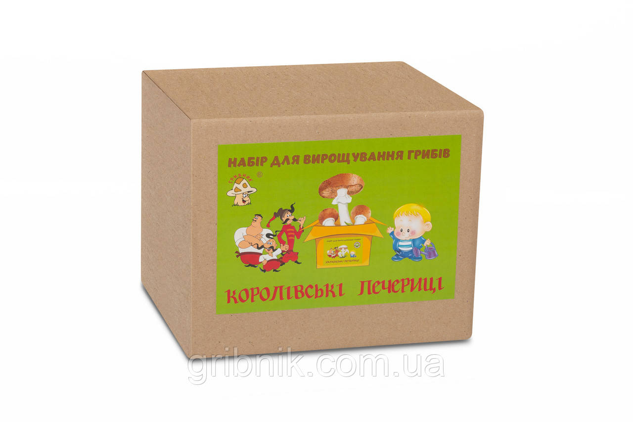 Набір для вирощування королівських печериць (коричневі), фото 1