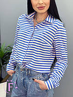📌 Сорочка-тільняшка | Модна Блузка у смужку біло-блакитну | Стильна Блуза з довгими рукавами | Норма та Батал