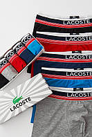 Набор мужских трусов LACOSTE | 5 удобных боксерок в подарочной упаковке