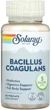 Пробіотик Бациллус коагуланс Bacillus coagulans 2,5 млрд 60 капс Solaray США