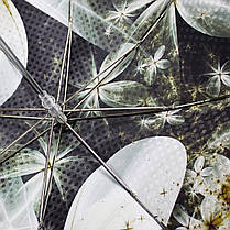 Парасолька Палиця Doppler VIP Collection напівавтомат 12019 Magnolia, фото 5