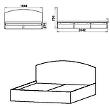 Двоспальне ліжко-160 Компаніт із узголів'ям біле німфея-альба, фото 2