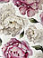 Набір вінілових міні наклейок Акварельні біло-рожеві півонії від 10 до 20 см наклейки квіти матова, фото 9