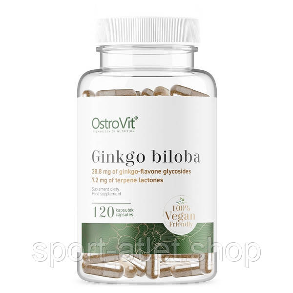 Натуральна добавка OstroVit Vege Ginkgo Biloba, 120 вегакапсул