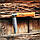 Ніж Opinel Classic No.08 VRN Blister (000402), фото 4