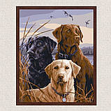 Картина за номерами Собаки на полюванні 40*50 см Art Craft 11680-AC, фото 3