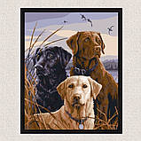 Картина за номерами Собаки на полюванні 40*50 см Art Craft 11680-AC, фото 4