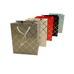 125-12 S Пакет подарунковий 12*15*7 см