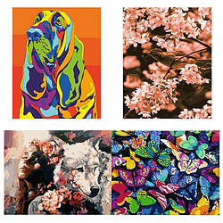 КНО Картина кольорова на полотні STRATEG 40х50