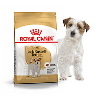 Сухой полнорационный корм Royal Canin Jack Russell Adult от 10 месяцев 1,5 кг