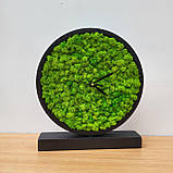 Круглий годинник з дерева та моху на стіл 20, 25 см, фото 5