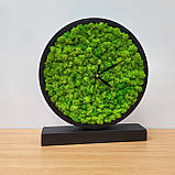 Круглий годинник з дерева та моху на стіл 20, 25 см, фото 6