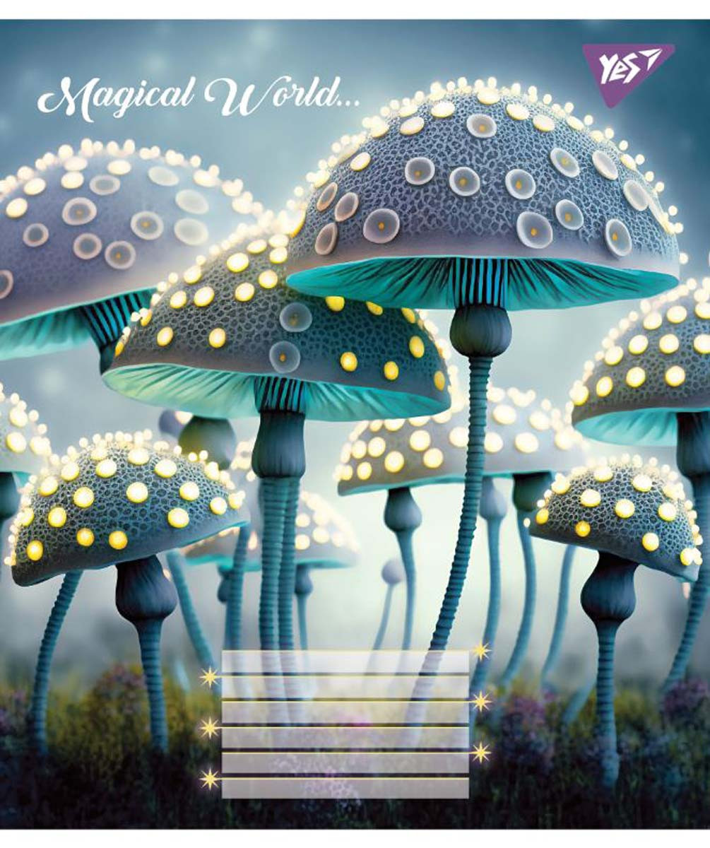 Зошит шкільний А5/12 лінія YES Magical world набір 25 шт. (766291)
