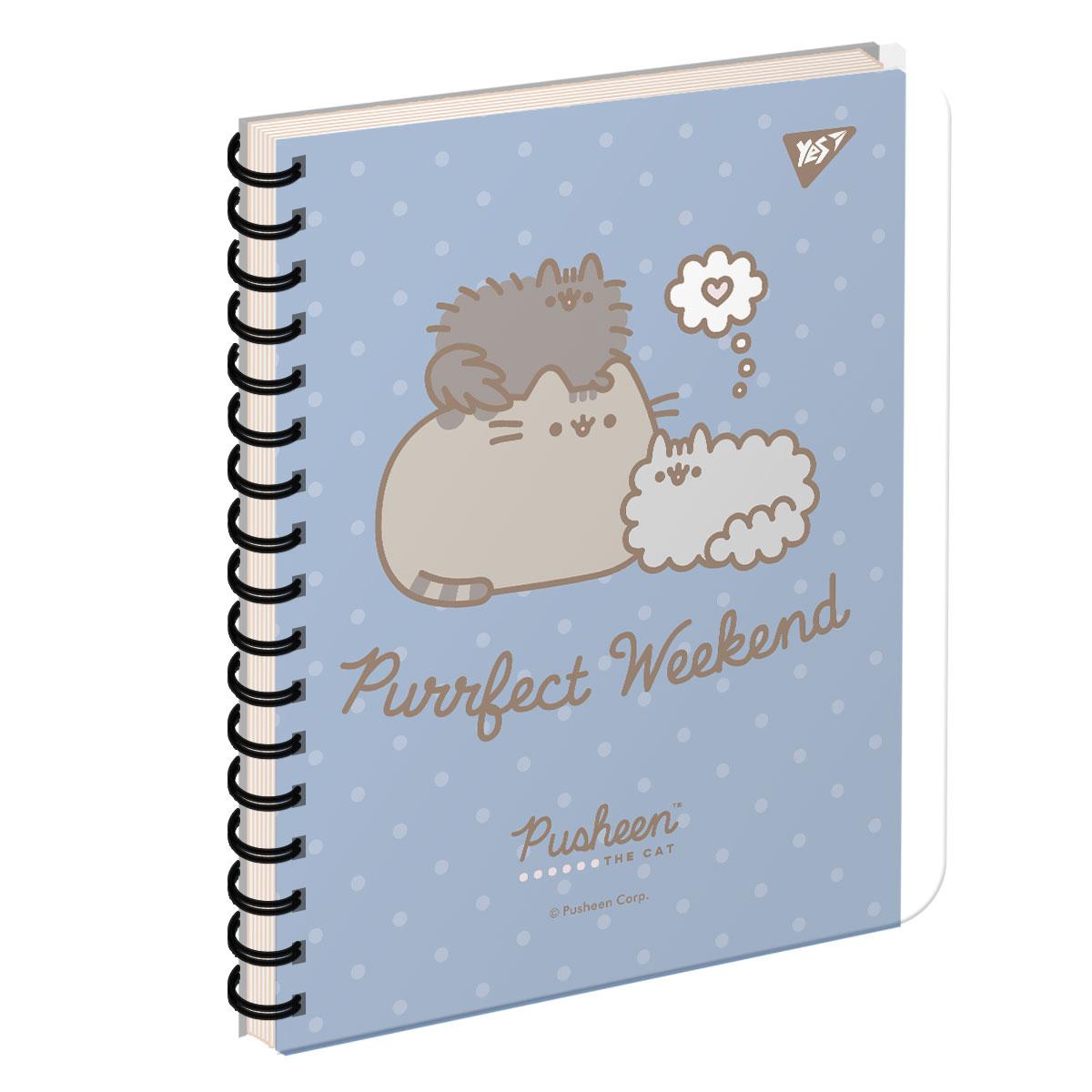 Зошит для студентів із роздільниками YES А5/144 Pusheen пластикова обкладинка (681873)
