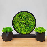 Декор з моху для Вашого інтер'єру - комплект годинник на стіл та 2 кашпо з мохом