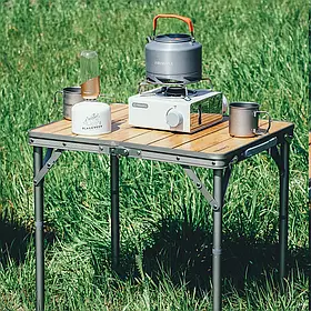 Компактний туристичний розкладний стіл Fire-Maple Dian Camping Table