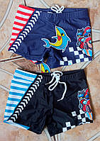 Плавки шорти для хлопчика для плавання та басейну Терес BH418
