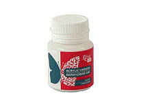 Лак акриловий для декору глянсовий 20 мл Rosa Talent, 48600201