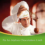 Шоколадні яйця  Lindt Lindor Assorti Eggs 180g, фото 6