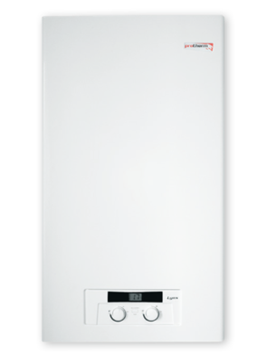 Настінний газовий димохідний котел Protherm «Рись» 28 площа обігріву до 280 м2, фото 2