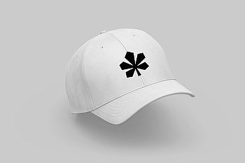 Кепка з прикольним дизайном  "КАШТАН"