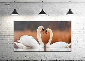Картина на полотні на стіну для інтер`єру/спальні/прихожої DK Два лебеді 50х100 см (DKP50100-z29)