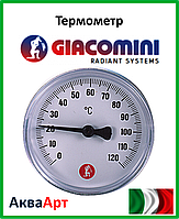 GIACOMINI Термометр 1/2" - 0÷120 °C - Ø61,5 mm