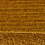 Лазур для дерева на водній основі світлий горіх, банка 1л (розлив), фото 2