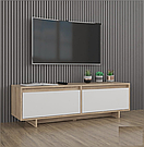 Сучасна тумба під ТВ із двома місткими висувними ящиками з ДСП Комод для телевізора 140 см, фото 6