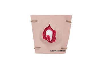 Модель імітації відкритого перелому EasyPractice