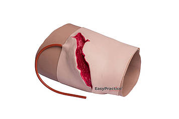 Симулятор критичної кровотечі стегна EasyPractice