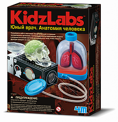 Набір для дослідів 4M Органи людини