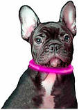 Нашийник з підсвіткою LED для собак з USB зарядкою 70 см L рожевий, фото 2