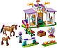 Lego Friends Тренування коня 41746, фото 3