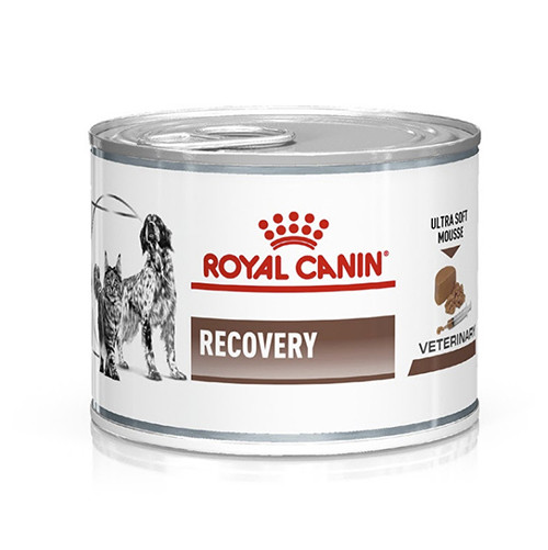 Royal Canin Recovery вологий лікувальний корм для собак і котів у період відновлення після хвороби, 0.195КГ