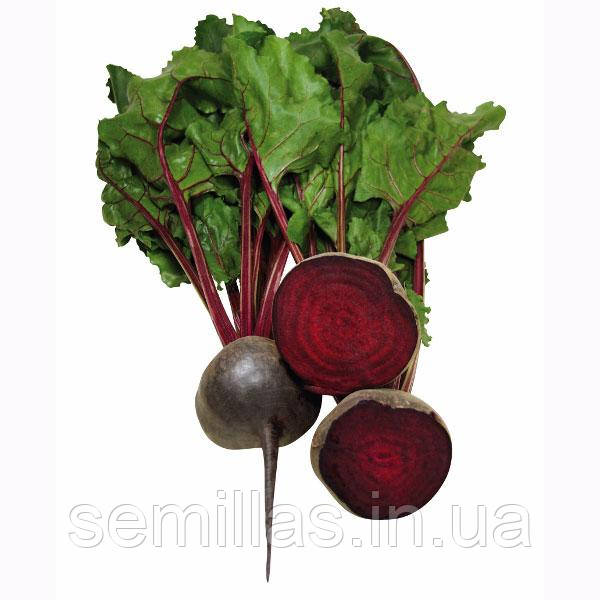 Насіння буряка Болівар, 10 гр., столового круглого, ТМ "ЛєдаАгро"