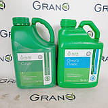 Гербіцид Сіґур 0,5 кг .+ ПАР Омега Плюс Alfa smart agro, фото 2