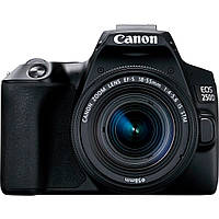 Зеркальный фотоаппарат Canon EOS 250D Kit EF-S 18-55mm f/3.5-5.6 IS STM (3454C007) UA [83547]