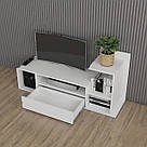 Стильна тумба під телевізор з полицями та великою висувною скринькою Тумби для підлоги ТБ з Ламінованого ДСП, фото 2