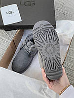 Черевики жіночі UGG Neumel Suede Boots Dark Fawn Gray 3236