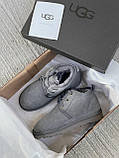 Жіночі черевики UGG Neumel Suede Boots Dark Fawn Gray 3236, фото 5
